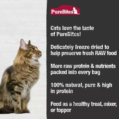 Purebites® Freeze Dried Cat Treat - Chicken Heart, 1.09 OZ - Image 4
