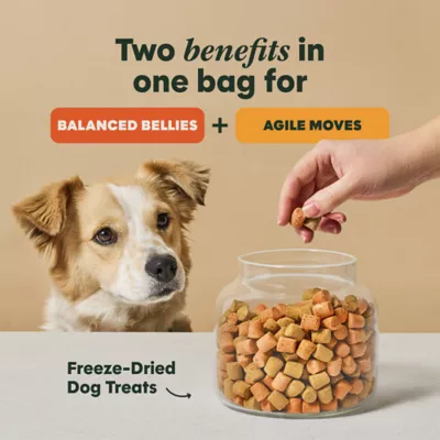 Instinct Duos Feelin' Good Freeze Fried Dog Treats - Image 2