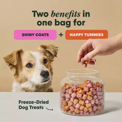 Instinct Duos Beautiful Inside & Out Freeze Fried Dog Treats - Image 2