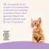 Applaws Kitten Healthy Start Cat Wet Food - Grain Free, Pate, 2.47 Oz image thumbnail 7