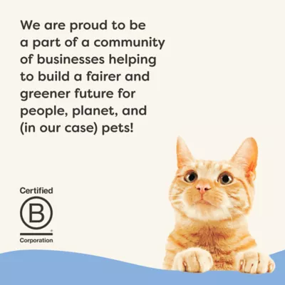 Applaws Vitality Adult Cat Wet Food - Fish Selection in Broth, 12 Count, Variety Pack - Image 7