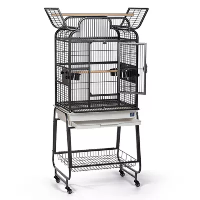 Product Prevue Pet Products On-The-Fly Playtop Bird Cage
