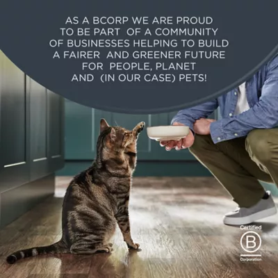 Reveal Fish Selection Adult Wet Cat Food - Grain Free, In Broth, 18 Ct - Image 7