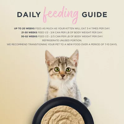 Reveal Kitten Wet Cat Food In Broth - Pate, Grain Free, 2.47 OZ - Image 4