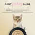 Reveal Kitten Wet Cat Food In Broth - Pate, Grain Free, 2.47 OZ image thumbnail 4