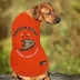 Pets First Anaheim Ducks T-Shirt image thumbnail 4