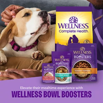 Wellness Complete Health Adult Dry Dog Food - Chicken & Oatmeal - Image 7