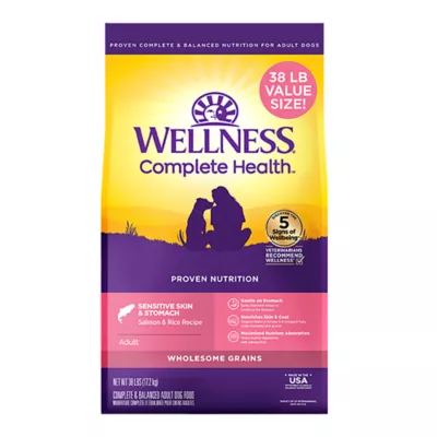 Wellness Complete Health Sensitive Skin & Stomach Adult Dry Dog Food - Salmon & Rice - Image 1