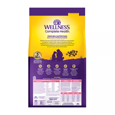 Wellness Complete Health Sensitive Skin & Stomach Adult Dry Dog Food - Salmon & Rice - Image 2