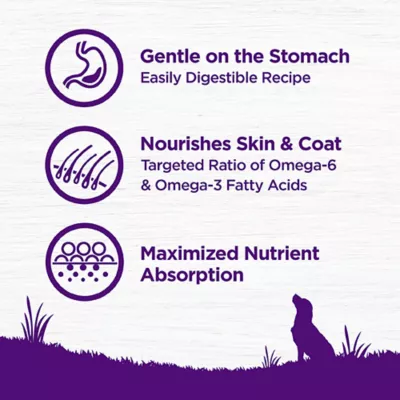 Wellness Complete Health Sensitive Skin & Stomach Adult Dry Dog Food - Salmon & Rice - Image 5