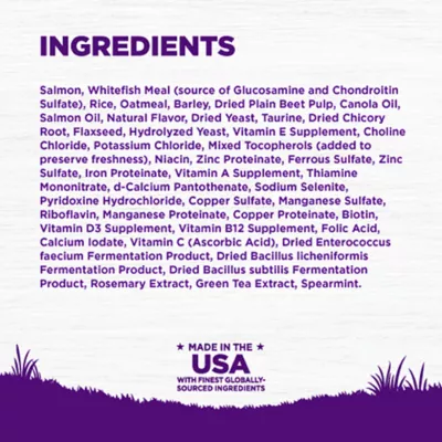 Wellness Complete Health Sensitive Skin & Stomach Adult Dry Dog Food - Salmon & Rice - Image 6