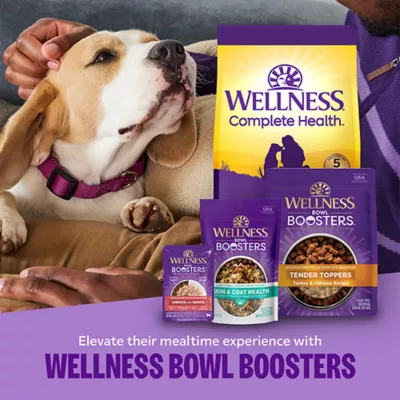 Wellness Complete Health Sensitive Skin & Stomach Adult Dry Dog Food - Salmon & Rice - Image 7