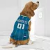 Pets First Charlotte Hornets Mesh Jersey image thumbnail 4