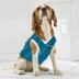 Pets First Charlotte Hornets Mesh Jersey image thumbnail 3