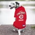Pets First Cincinnati Reds Tee image thumbnail 3