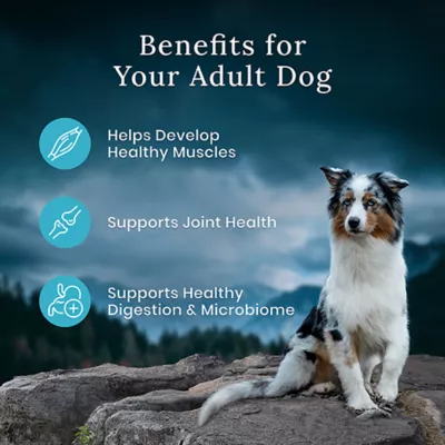 Blue Buffalo Wilderness Premier Blend Adult Dry Dog Food - Chicken with Meaty Cuts - Image 4