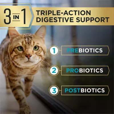 Purina Pro Plan AdvantEdge Digestive Support + Adult Dry Cat Food - Salmon & Rice Formula - Image 2