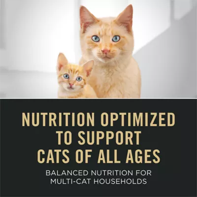 Purina Pro Plan Specialized All Life Stages Chicken & Rice Formula Dry Cat Food - Image 2