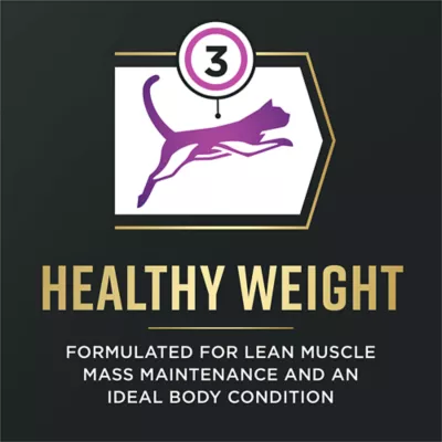 Purina Pro Plan AdvantEdge Senior Support + Dry Cat Food - Chicken & Rice Formula - Image 5