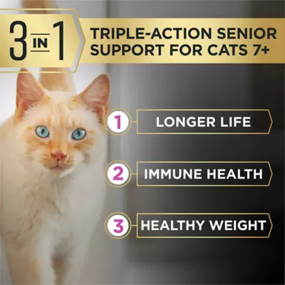 Purina Pro Plan AdvantEdge Senior Support + Dry Cat Food - Chicken & Rice Formula - Image 2