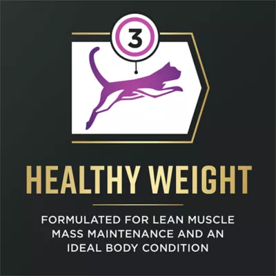 Purina Pro Plan AdvantEdge Senior Support + Dry Cat Food - Chicken & Rice Formula - Image 4