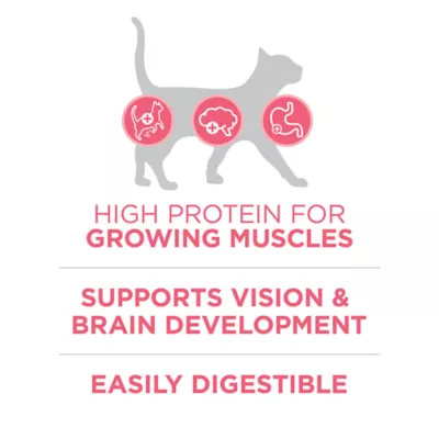 Purina ONE +Plus Kitten Chicken Dry Cat Food - Image 3