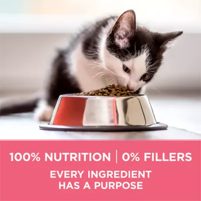 Purina ONE +Plus Kitten Chicken Dry Cat Food - Image 4