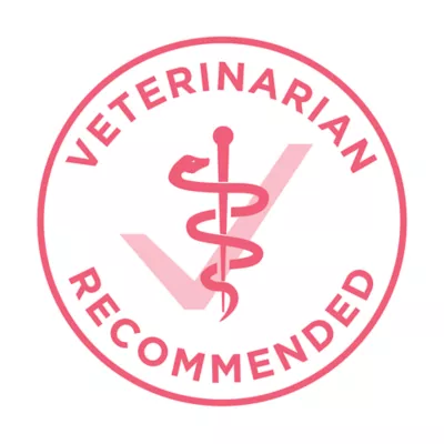 Purina ONE +Plus Kitten Chicken Dry Cat Food - Image 5