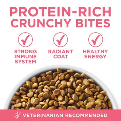 Purina ONE +Plus Kitten Chicken Dry Cat Food - Image 6