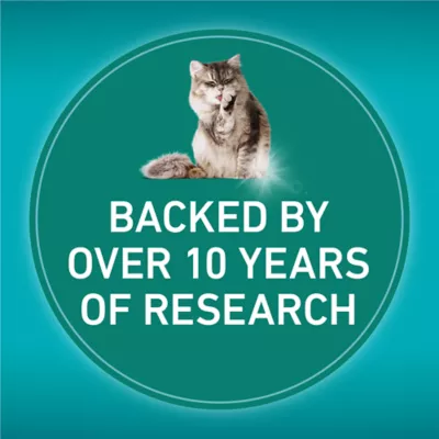 Purina ONE LiveClear Allergen-Reducing Formula With Real Chicken, Dry Cat Food, 1.36 kg - Image 4