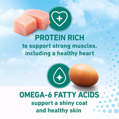 Purina ONE LiveClear Allergen-Reducing Formula With Real Chicken, Dry Cat Food, 1.36 kg - Image 5