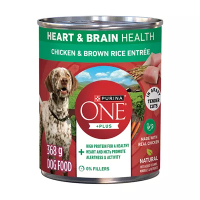 Purina ONE +Plus Heart & Brain Health Chicken & Brown Rice Entrée, Wet Dog Food - Image 1