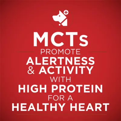 Purina ONE +Plus Heart & Brain Health Chicken & Brown Rice Entrée, Wet Dog Food - Image 2