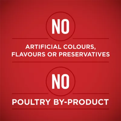 Purina ONE +Plus Heart & Brain Health Chicken & Brown Rice Entrée, Wet Dog Food - Image 4