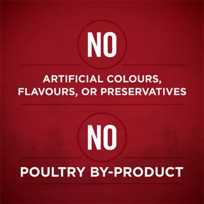 Purina ONE True Instinct Classic Ground and Tender Cuts In Gravy Variety Pack, Wet Dog Food - Image 3