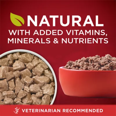 Purina ONE True Instinct Classic Ground and Tender Cuts In Gravy Variety Pack, Wet Dog Food - Image 6