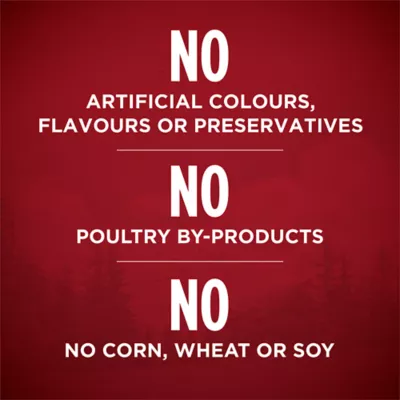 Purina ONE True Instinct Classic Ground Chicken & Duck, Wet Dog Food - Image 3