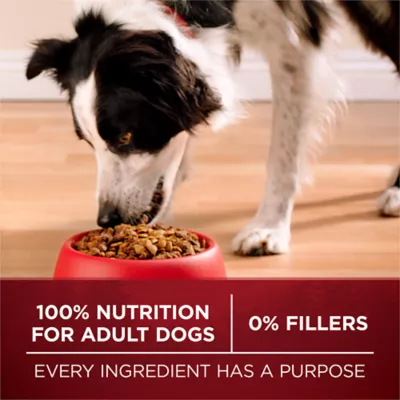 Purina ONE True Instinct Chicken & Duck, Dry Dog Food - Image 5