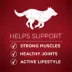 Purina ONE True Instinct Chicken & Duck, Dry Dog Food image thumbnail 3
