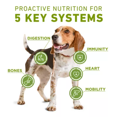 Purina ONE +Plus Whole Body Support with Real Chicken, Dry Dog Food - Image 2