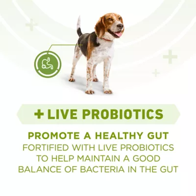 Purina ONE +Plus Whole Body Support with Real Chicken, Dry Dog Food - Image 3