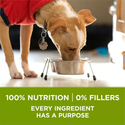 Purina ONE +Plus Whole Body Support with Real Chicken, Dry Dog Food - Image 4