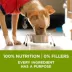 Purina ONE +Plus Whole Body Support with Real Chicken, Dry Dog Food image thumbnail 4
