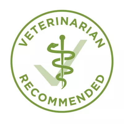 Purina ONE +Plus Whole Body Support with Real Chicken, Dry Dog Food - Image 5