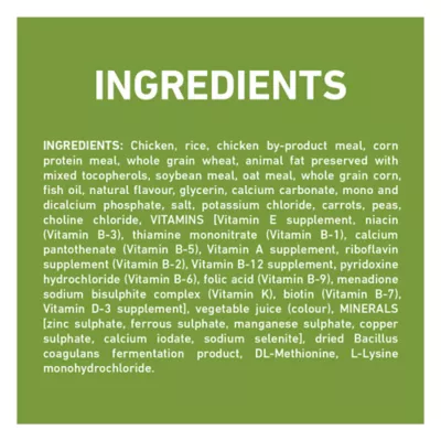 Purina ONE +Plus Whole Body Support with Real Chicken, Dry Dog Food - Image 7