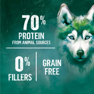 Beyond Wild Whitefish & Egg Recipe, Dry Dog Food - Image 3