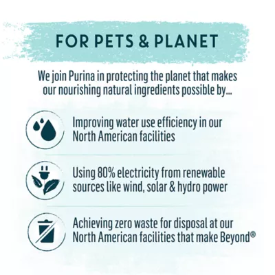 Beyond Wild Whitefish & Egg Recipe, Dry Dog Food - Image 4