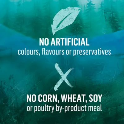 Beyond Wild Whitefish & Egg Recipe, Dry Dog Food - Image 5