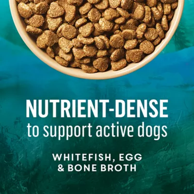 Beyond Wild Whitefish & Egg Recipe, Dry Dog Food - Image 6