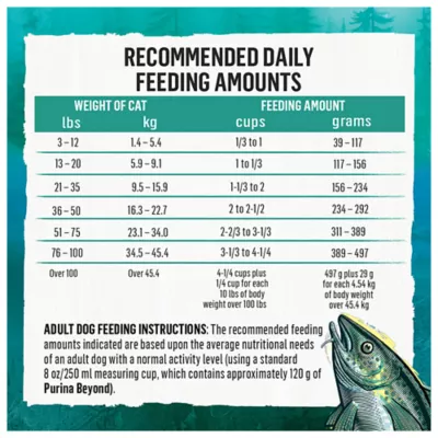 Beyond Wild Whitefish & Egg Recipe, Dry Dog Food - Image 9